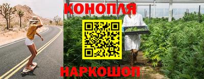 гидра Ливны