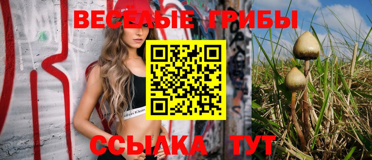 Галлюциногенные грибы мицелий  Вход с VPN  Дербент 